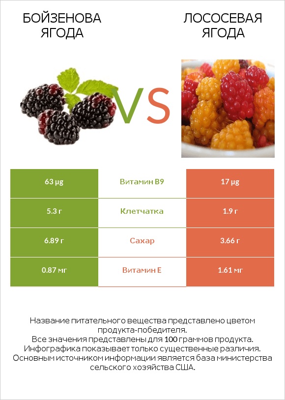 Бойзенова ягода vs Лососевая ягода infographic