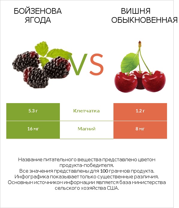 Бойзенова ягода vs Вишня обыкновенная infographic