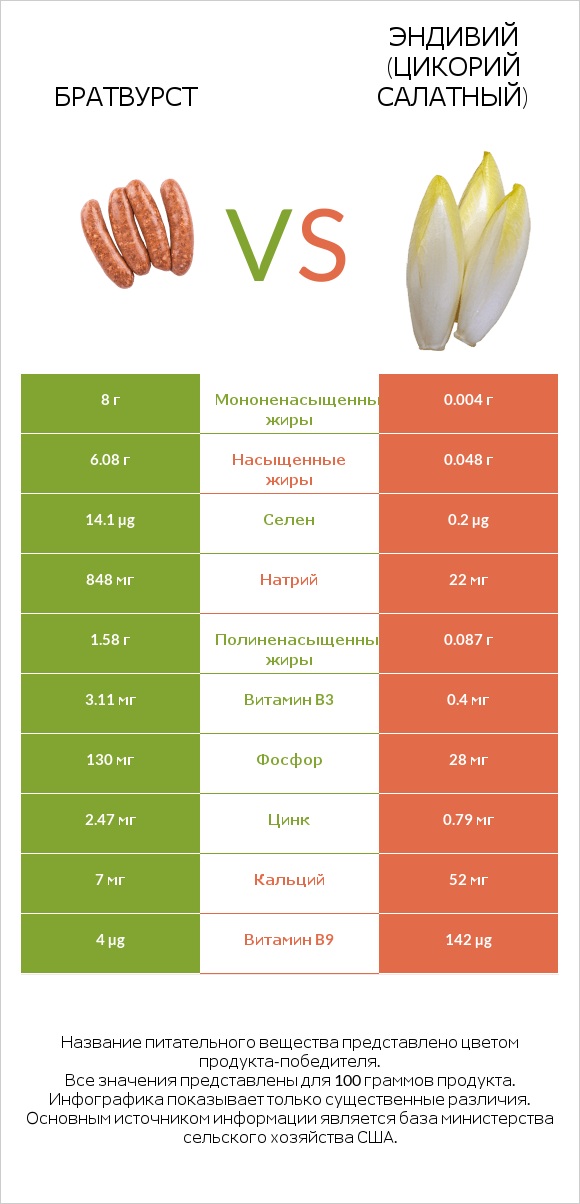 Братвурст vs Эндивий (Цикорий салатный)  infographic