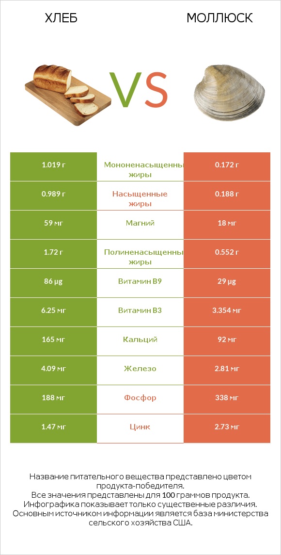 Хлеб vs Моллюск infographic