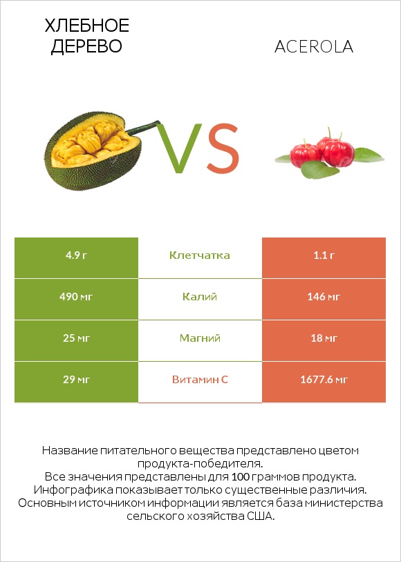 Хлебное дерево vs Acerola infographic
