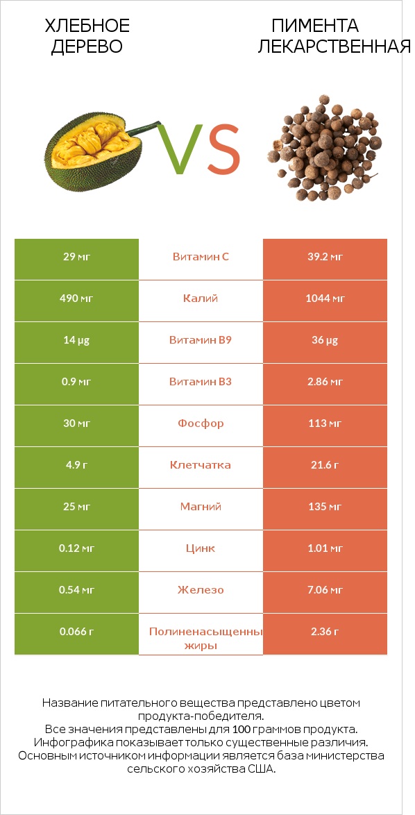 Хлебное дерево vs Пимента лекарственная infographic