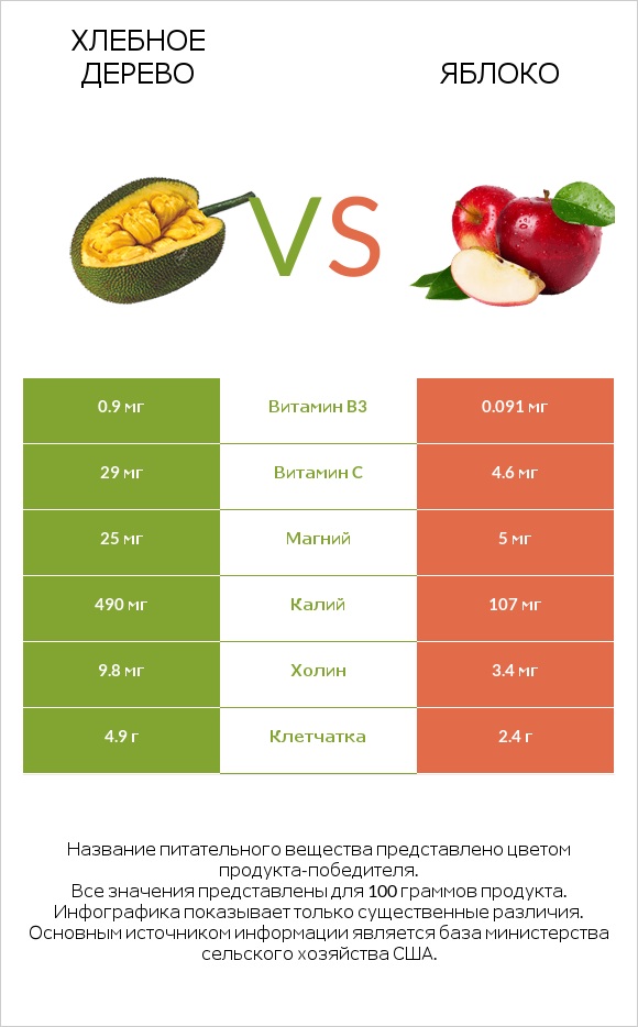 Хлебное дерево vs Яблоко infographic