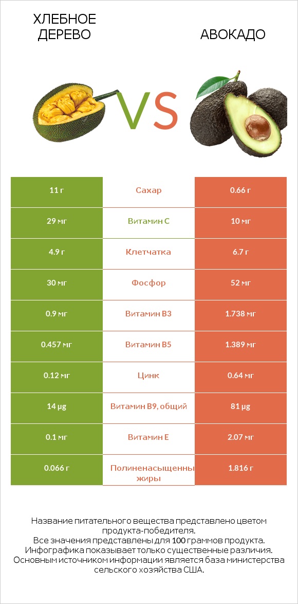 Хлебное дерево vs Авокадо infographic