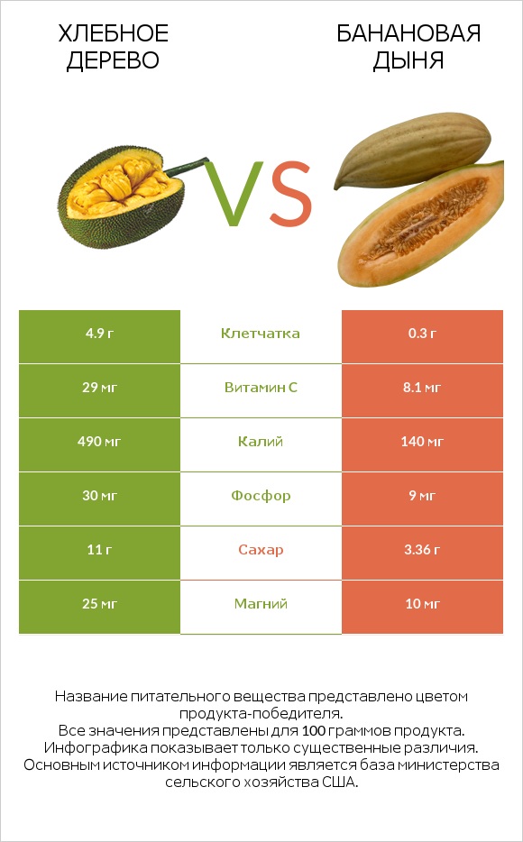 Хлебное дерево vs Банановая дыня infographic