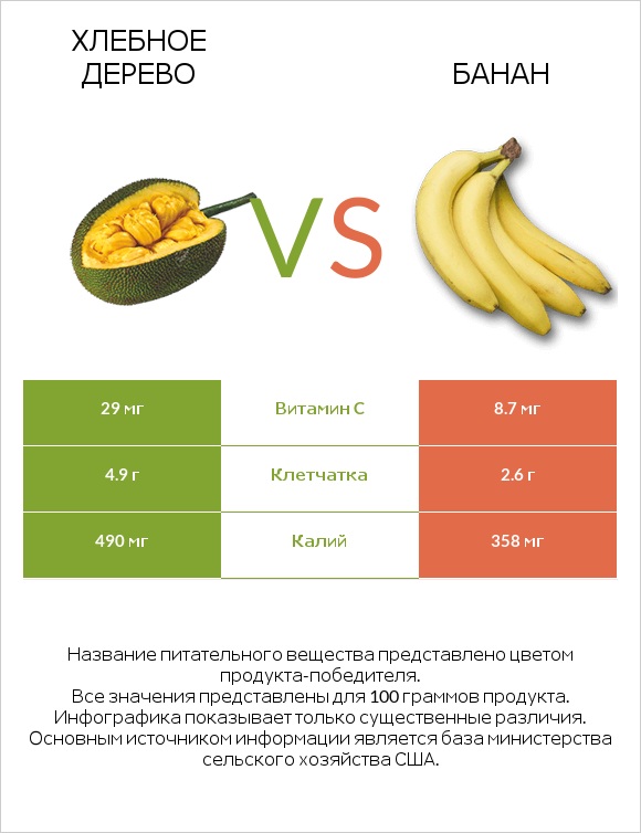 Хлебное дерево vs Банан infographic