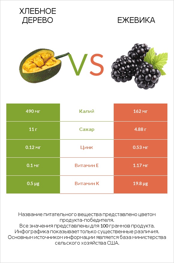 Хлебное дерево vs Ежевика infographic