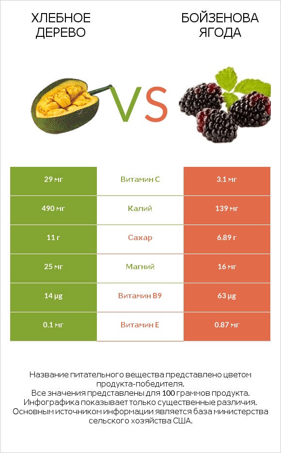 Хлебное дерево vs Бойзенова ягода infographic