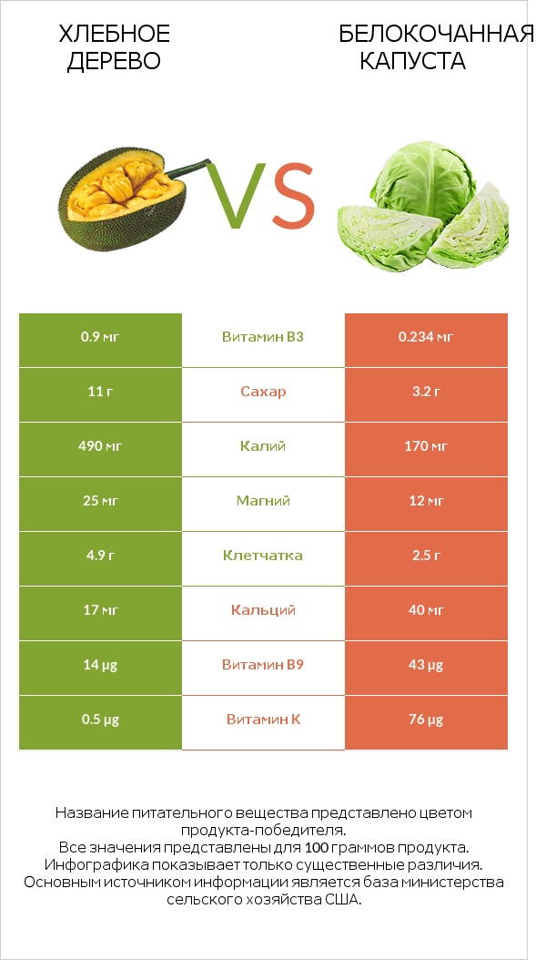 Хлебное дерево vs Белокочанная капуста infographic