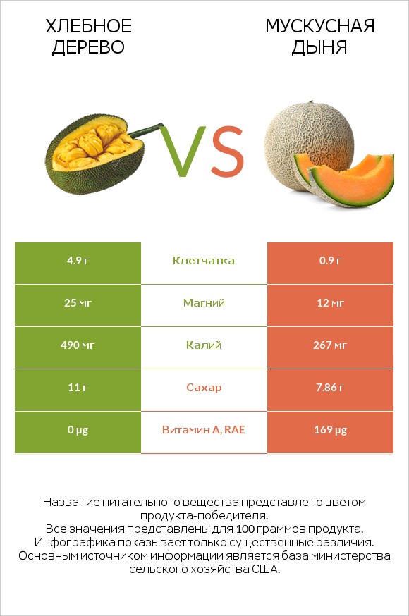 Хлебное дерево vs Мускусная дыня infographic