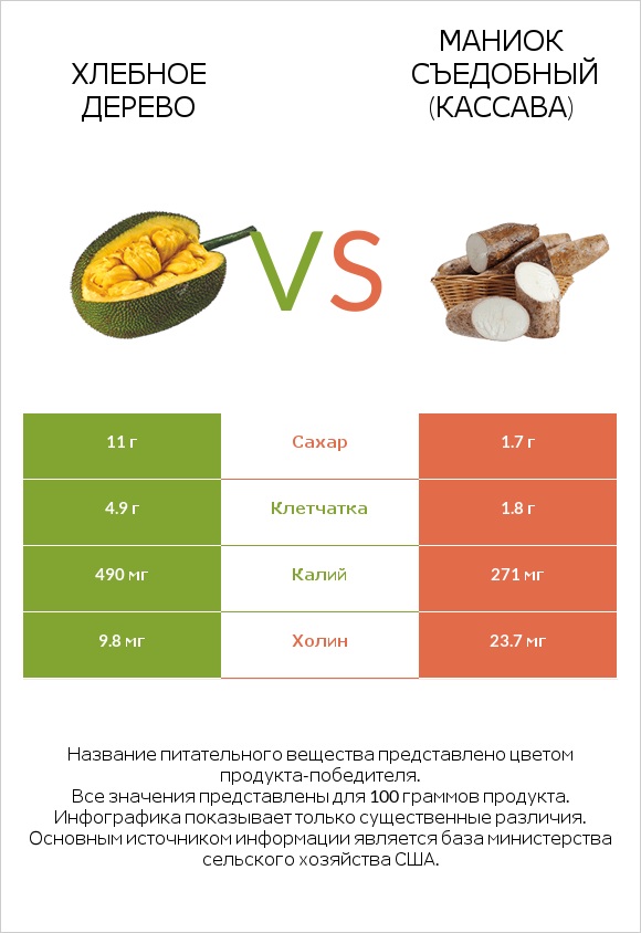 Хлебное дерево vs Маниок съедобный (кассава) infographic