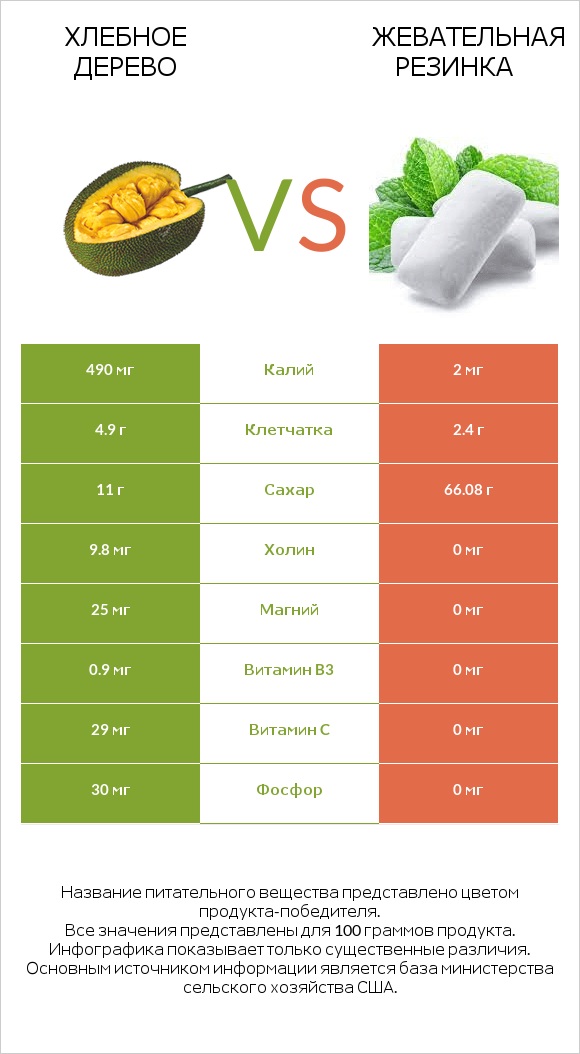Хлебное дерево vs Жевательная резинка infographic