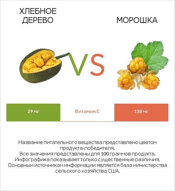 Хлебное дерево vs Морошка infographic