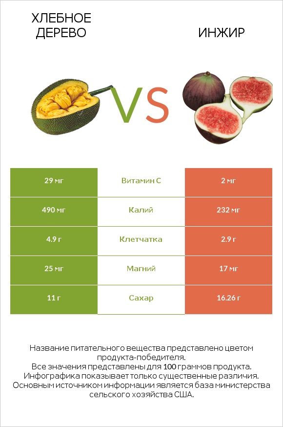 Хлебное дерево vs Инжир infographic