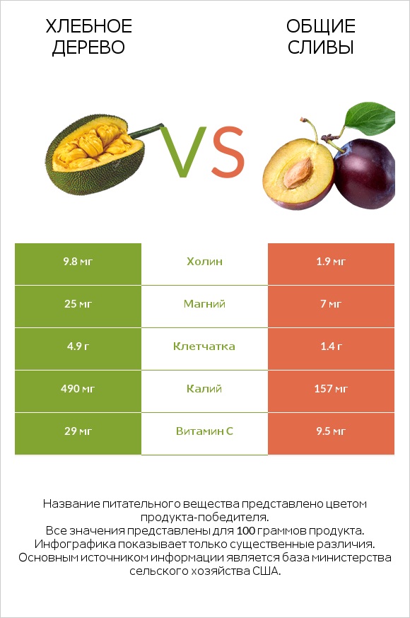 Хлебное дерево vs Общие сливы infographic