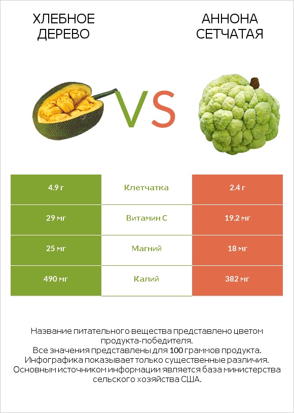 Хлебное дерево vs Аннона сетчатая infographic