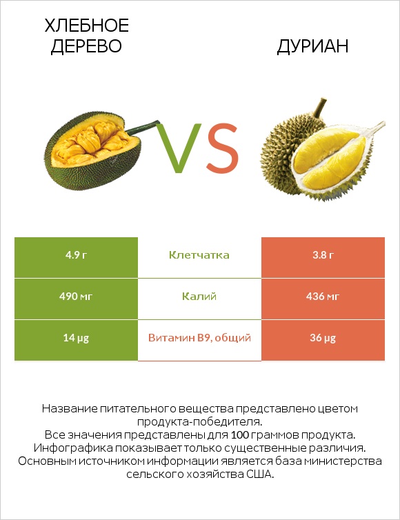 Хлебное дерево vs Дуриан infographic