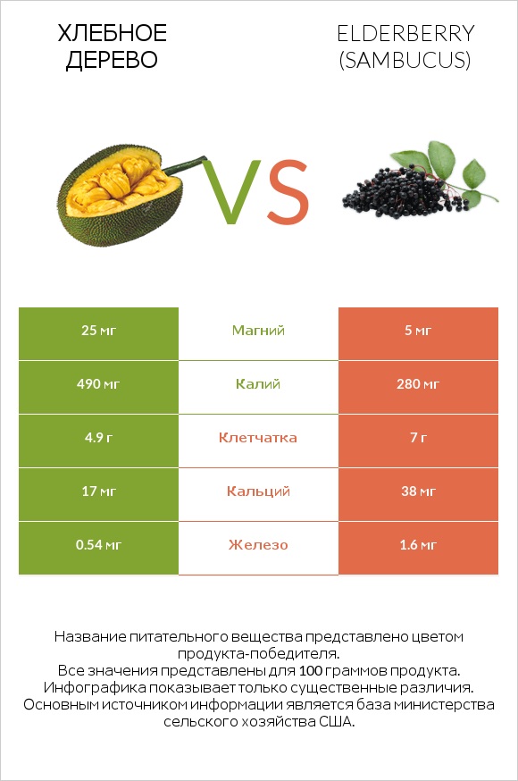 Хлебное дерево vs Elderberry infographic