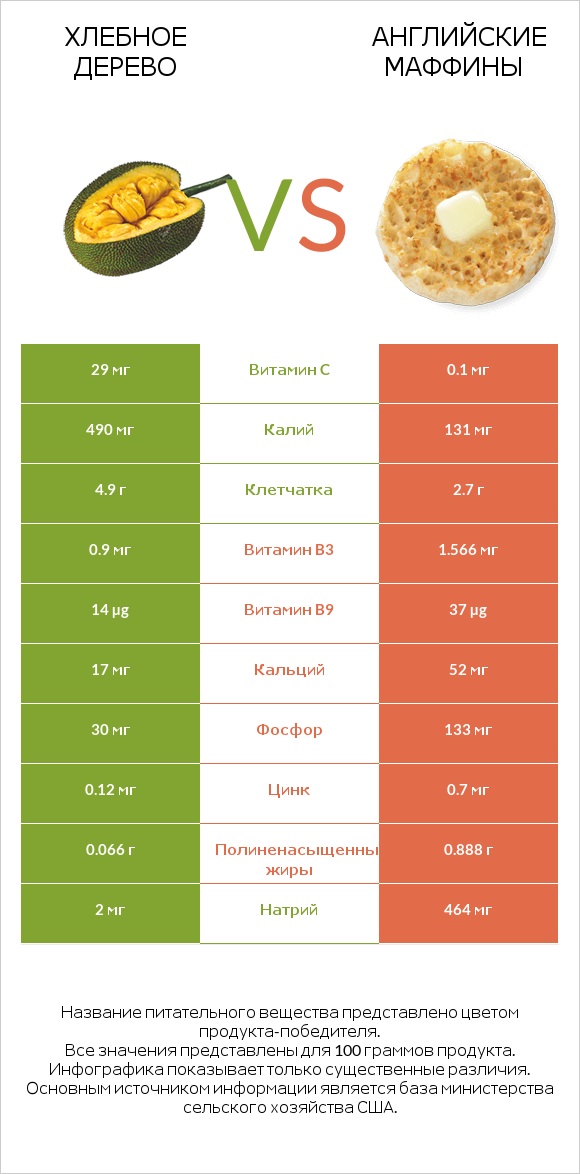 Хлебное дерево vs Английские маффины infographic