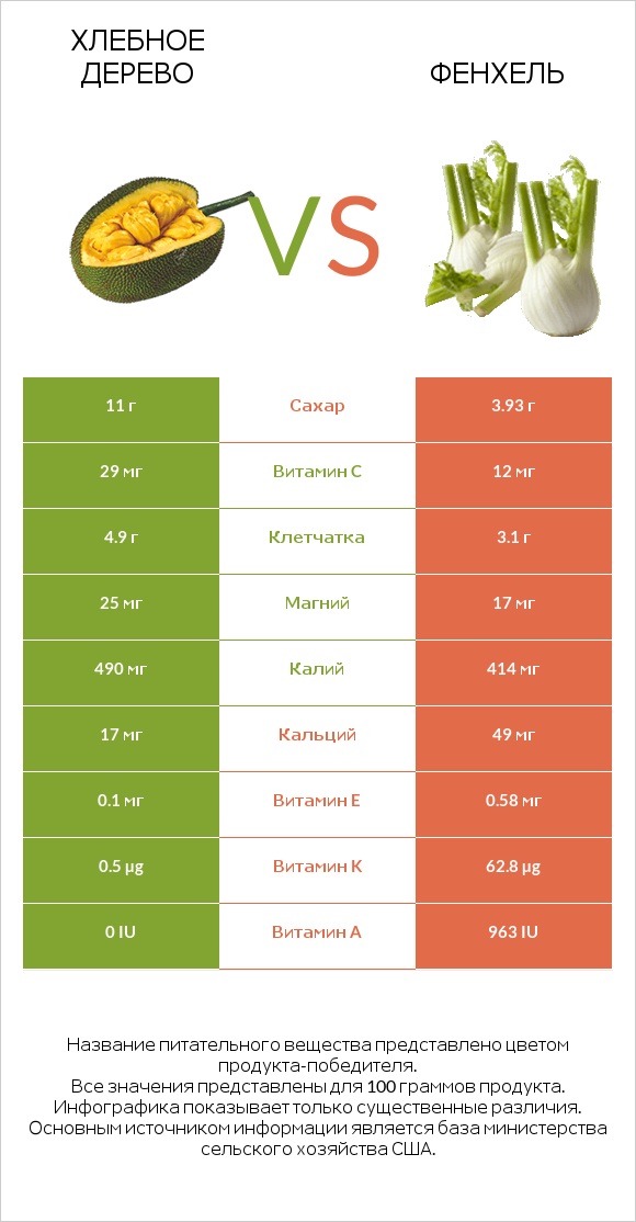 Хлебное дерево vs Фенхель infographic