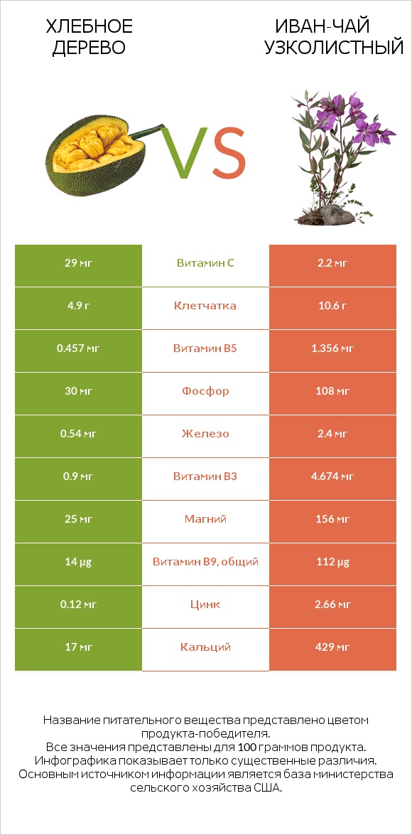 Хлебное дерево vs Иван-чай узколистный infographic