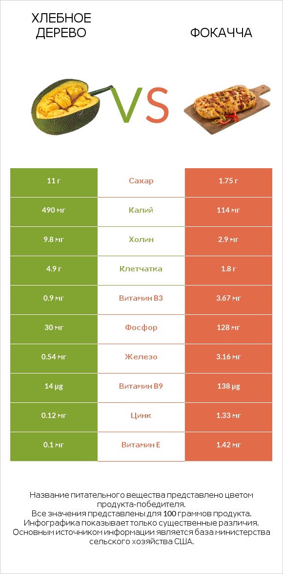 Хлебное дерево vs Фокачча infographic
