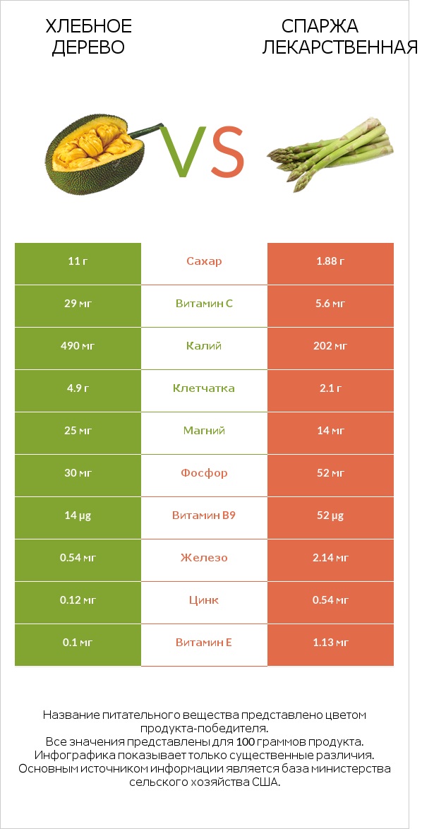 Хлебное дерево vs Спаржа лекарственная infographic