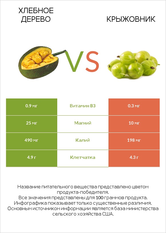 Хлебное дерево vs Крыжовник infographic