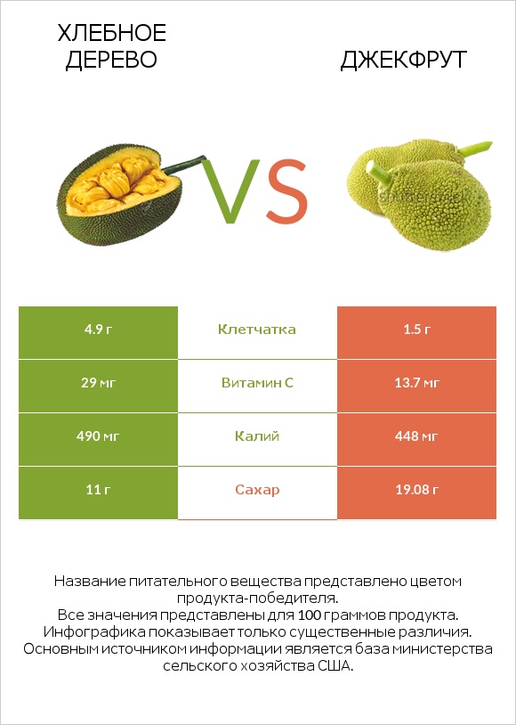Хлебное дерево vs Джекфрут infographic