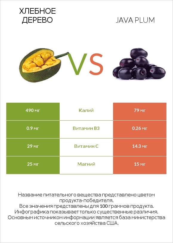Хлебное дерево vs Java plum infographic