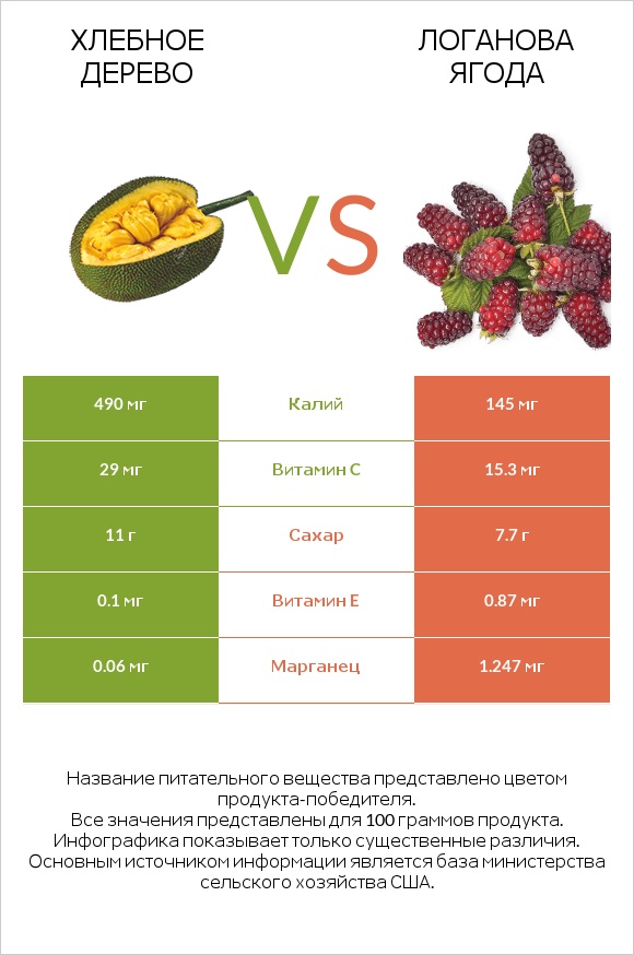 Хлебное дерево vs Логанова ягода infographic