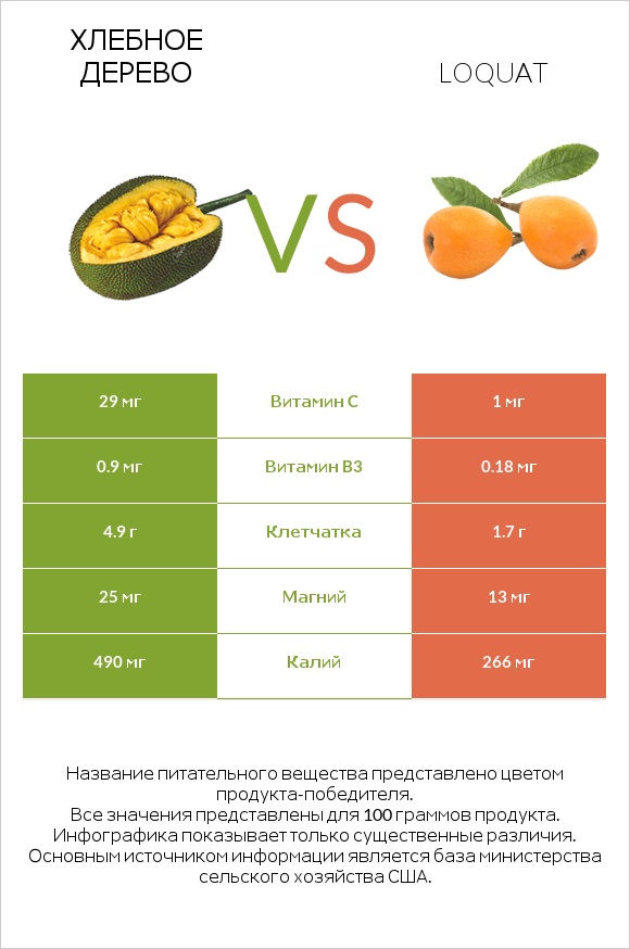 Хлебное дерево vs Loquat infographic