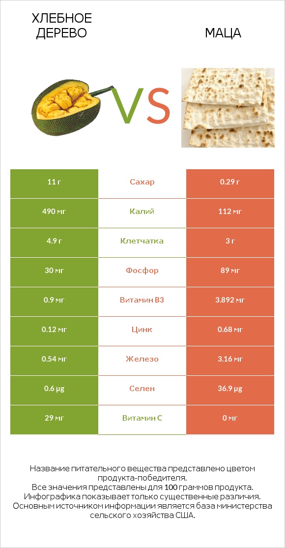 Хлебное дерево vs Маца infographic