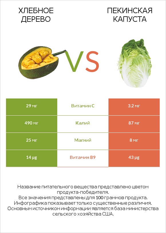 Хлебное дерево vs Пекинская капуста infographic