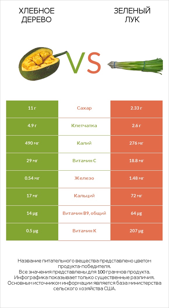 Хлебное дерево vs Зеленый лук infographic