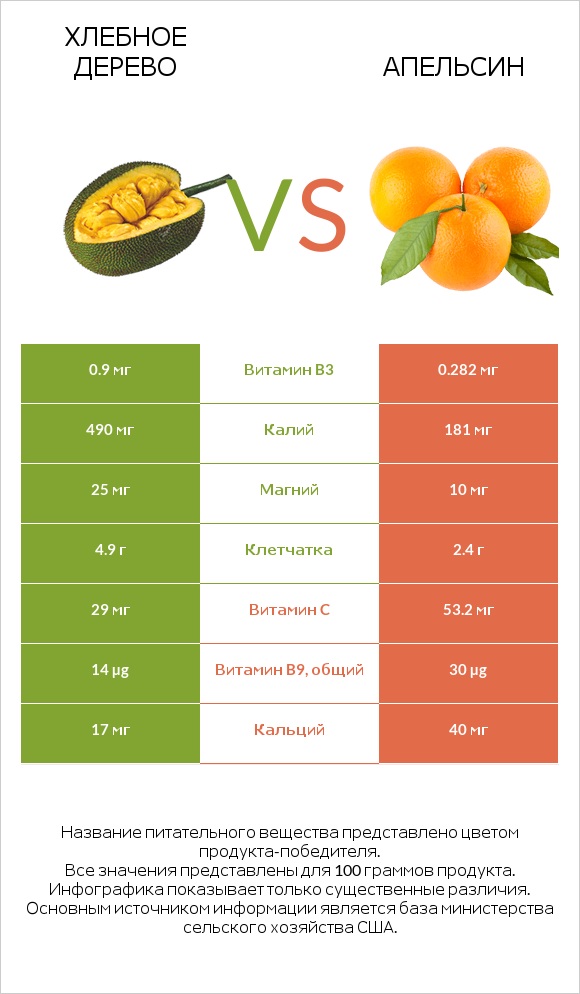 Хлебное дерево vs Апельсин infographic