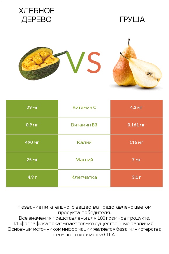 Хлебное дерево vs Груша infographic