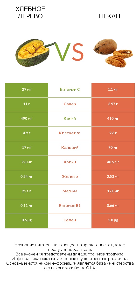 Хлебное дерево vs Пекан infographic