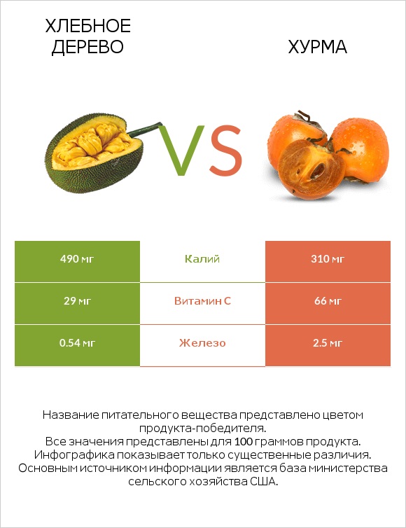 Хлебное дерево vs Хурма infographic