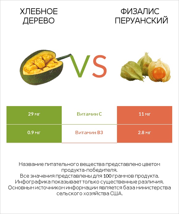Хлебное дерево vs Физалис перуанский infographic