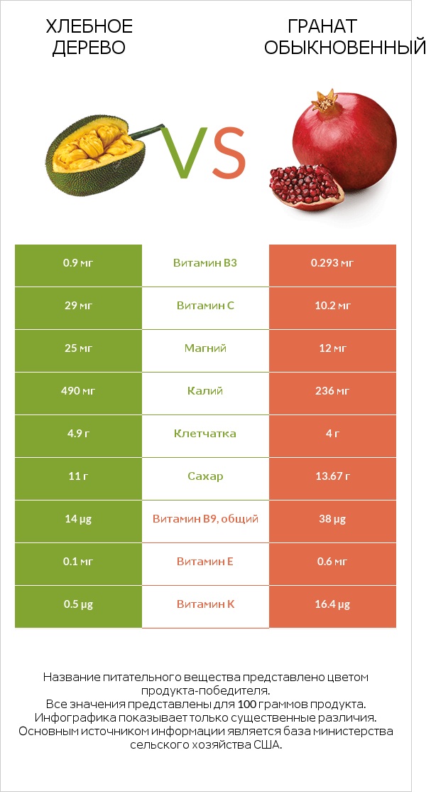 Хлебное дерево vs Гранат обыкновенный infographic