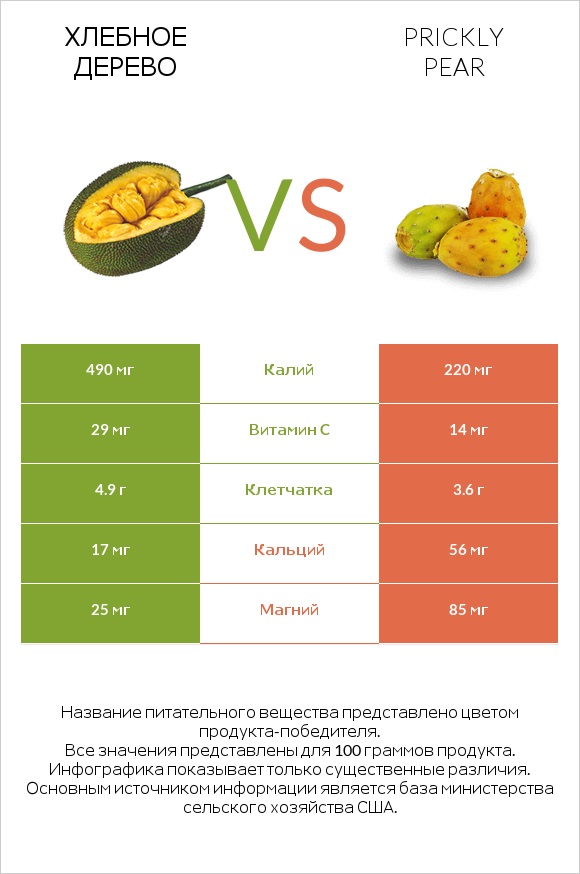 Хлебное дерево vs Prickly pear infographic