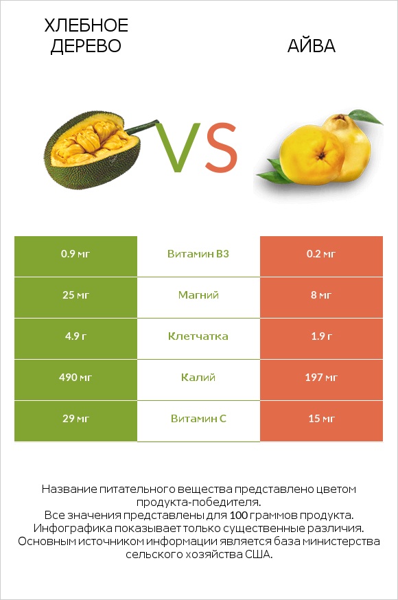 Хлебное дерево vs Айва infographic