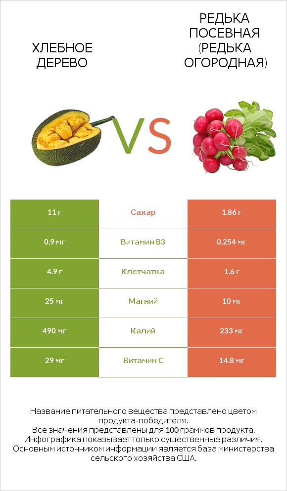 Хлебное дерево vs Редька посевная (Редька огородная) infographic