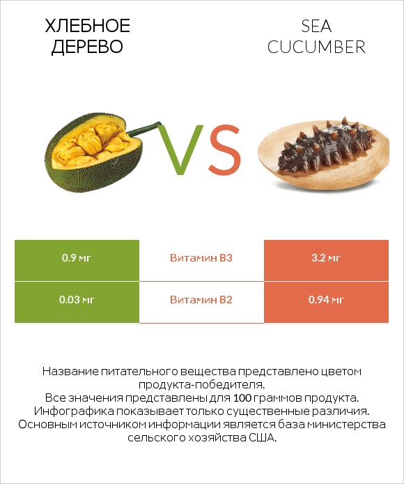 Хлебное дерево vs Sea cucumber infographic