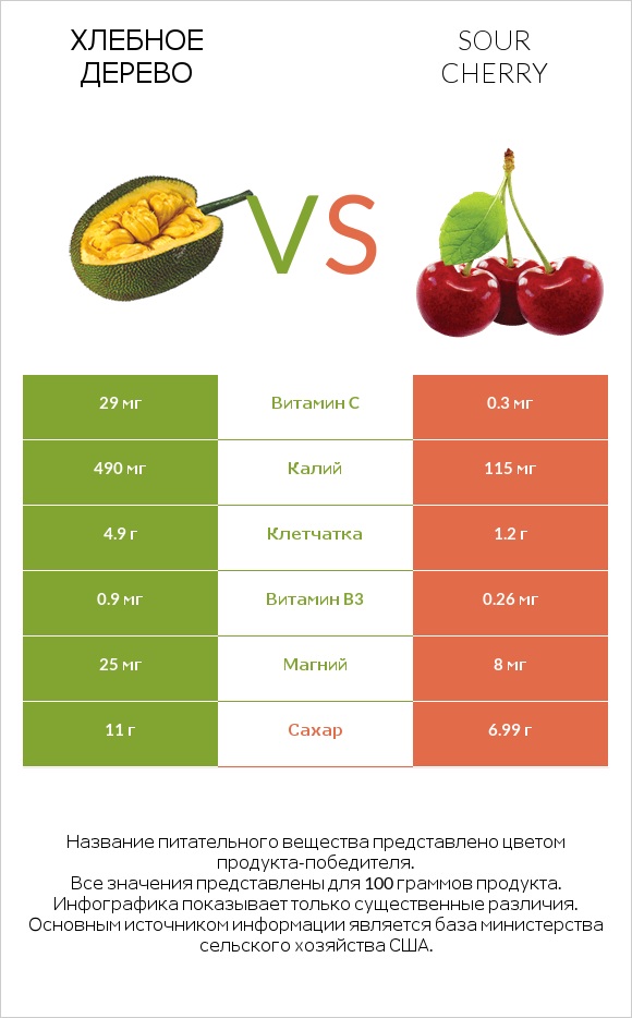 Хлебное дерево vs Sour cherry infographic