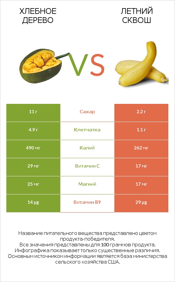 Хлебное дерево vs Летний сквош infographic
