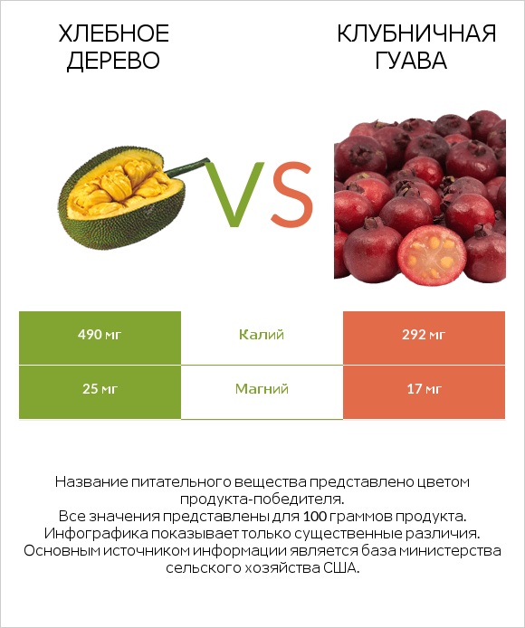 Хлебное дерево vs Клубничная гуава infographic