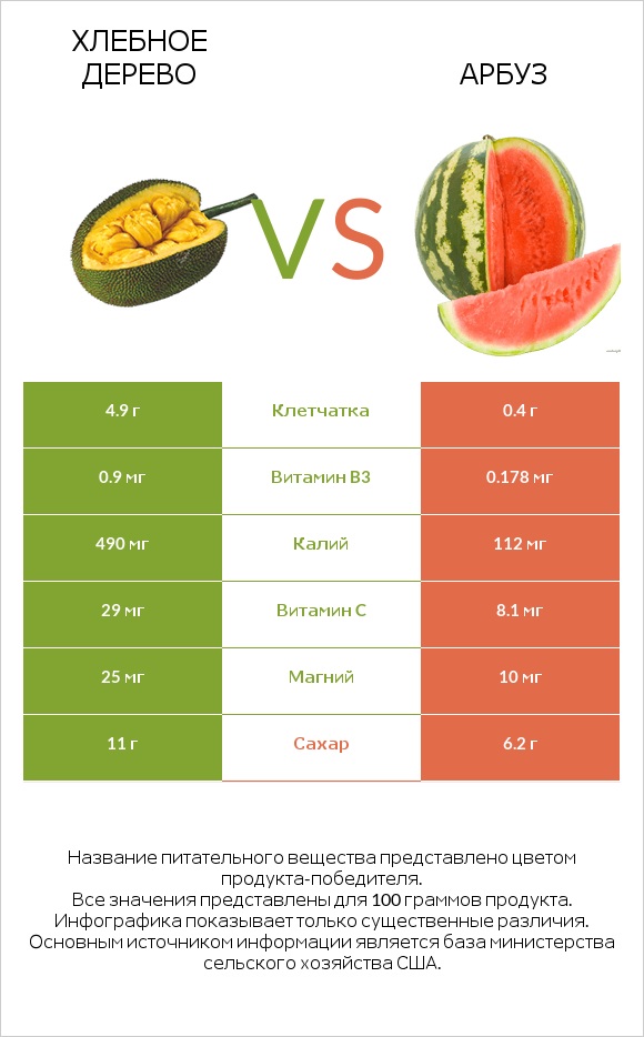 Хлебное дерево vs Арбуз infographic