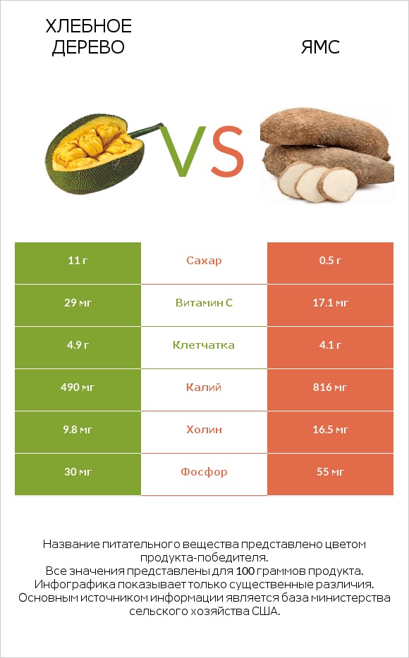 Хлебное дерево vs Ямс infographic